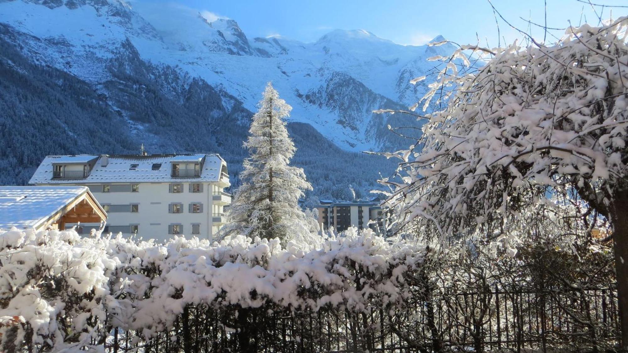Les Alpins - Centre De Chamonix - Renove Avec Jardin Et Vue Imprenable Sur Le Montblanc Apartment Ngoại thất bức ảnh