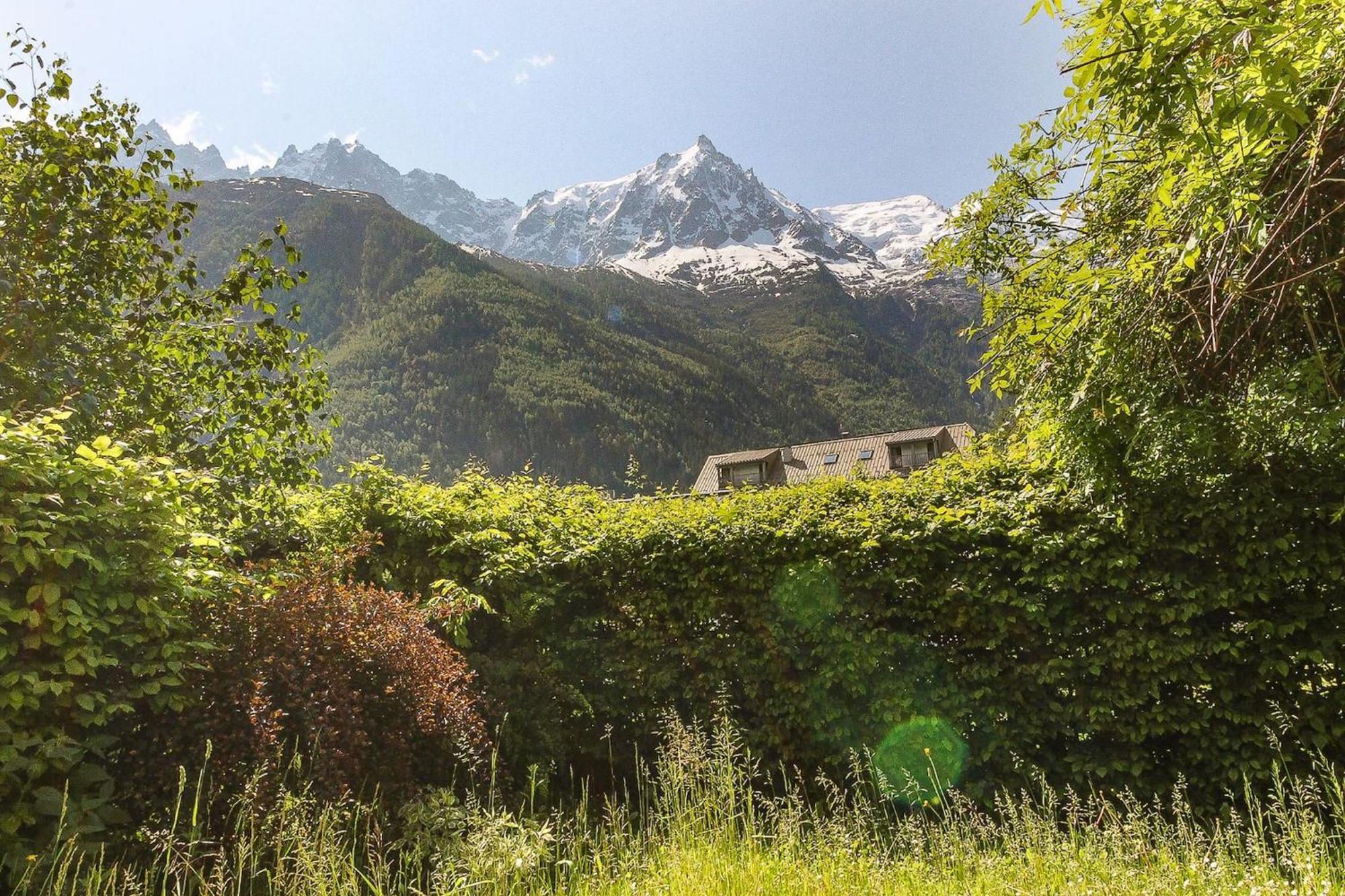 Les Alpins - Centre De Chamonix - Renove Avec Jardin Et Vue Imprenable Sur Le Montblanc Apartment Ngoại thất bức ảnh